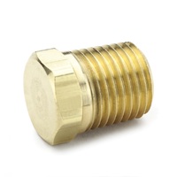 HEX HEAD PIPE PLUG TPS